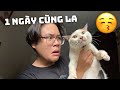 VLOG#2: 1 NGÀY CÙNG LA