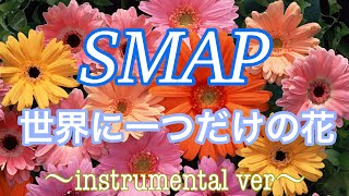 世界に一つだけの花  〜instrumental ver〜