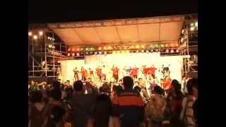 【公式】2014 DanSpo Anjo総踊り