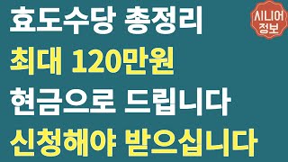 효도수당 총정리 최대 120만원 현금으로 드립니다 부모님을 위해 이렇게 신청하세요 지자체재난지원금