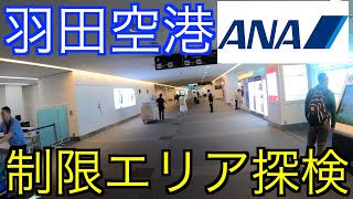 【ANA】羽田空港　第二ターミナル　制限エリア内探検後編！