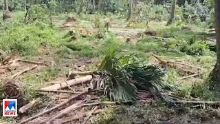 കൃഷി നശിപ്പിച്ച് കാട്ടാനക്കൂട്ടം; വൈദ്യുതി വേലി നശിച്ചിട്ട് മാസങ്ങള്‍| Elephant | Malappuram