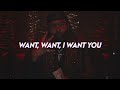 partynextdoor for certain and i want you lyrics