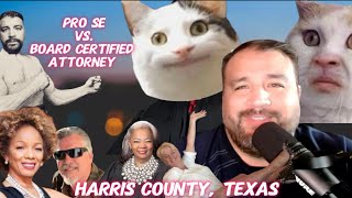 Pro Se vs. Board-Certified Attorney: Exposing Judicial Corruption in Harris County, TX Family Court