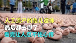 人工流产的胎儿遗体，最后都去哪了，看完让人忍不住心疼【光阴纪实】