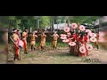 japibihu beautiful bihu dance with japi