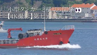 小型タンカーと横切り関係👀【4K撮影】第七光潤丸