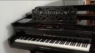 Bösendorfer 200 Johann Strauss