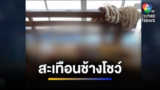 สะเทือนช้างโชว์ สาวชาวต่างชาติถูกช้างทำร้ายดับ | จ้อข่าวเช้า