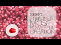 avon new product launch nutraeffects active seed complex