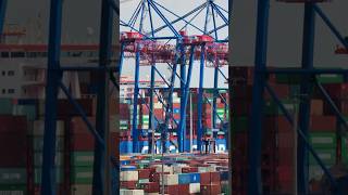 Hafen Hamburg: Container-Reederei MSC steigt bei HHLA ein #shorts