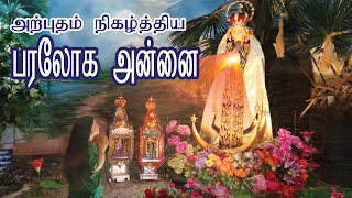 அதிசயமாக உயிர் பெற்ற சிறுமி | அற்புதம் நிகழ்த்திய பரலோக அன்னை | புதுமைநகர் காமநாயக்கன்பட்டி