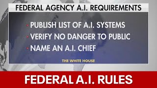 White House reveals new A.I. rules for government agencies