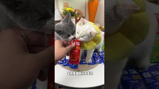 有了这个猫饭谁还天天给毛孩子吃干粮啊 #宠物,#萌宠,#猫咪,#狗狗,#宠物视频,#宠物护理