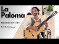 La Paloma for Solo Guitar (Yradier / Tárrega) | Diego Alonso (classical guitar)