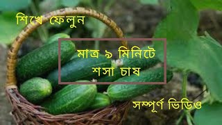 শসা চাষ পদ্ধতি A to Z//Cucumber Farming in Bengali  🥒 🌿