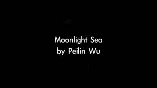 Moonlight Sea