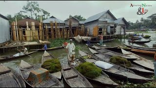 ভাসমান শ্যাওলা-পানা বাজার | Floating boat market | Barisal । Bangladesh @Amazing nature and life ​