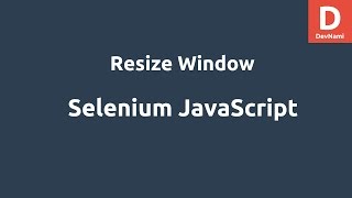 Selenium Javascript Resize Window