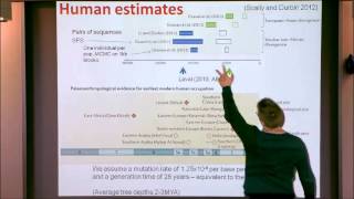 A Tree-based Approach to Inferring Past Population Size Changes and Separation Times