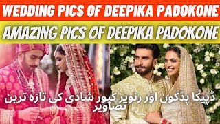 Happiest Moments Of Deepika & Ranveer's Full WEDDING Ceremony -Haldi,Mehendi,Ring,Fera | #entinfotv