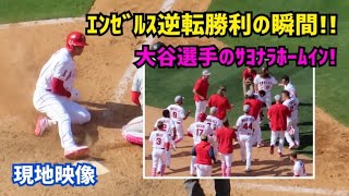 大谷選手の逆転サヨナラホームイン!!  エンゼルス勝利の瞬間！ Shohei Ohtani Angels 大谷翔平 現地映像