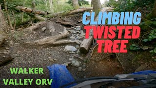 Rough Hill Climbs! - Walker Valley ORV - Twisted Tree