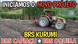 Trator nivelando o solo para plantar Brs kurumi, Brs capiaçu e Brs oquira