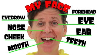 My Face Song with Matt | Body Parts | Dream English Kids