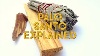 Palo Santo Explained ! 10 Reason Why You Need This In Your Life !