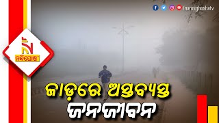 Winter Effect: Cold Weather Affecting Public Life Extreamely In Baliguda । NandighoshaTV