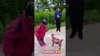 baby playing with cute goat😍 귀여운 아기 염소와 놀고 있는 아기 💜💜💜