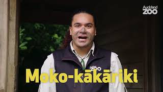 Te Wiki o Te Reo Māori with Hōhepa - moko kākāriki