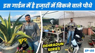 यें पौधे बिकते है हज़ारों में 🪴 Meet Mr. Raturi Biggest Agave Plant Collector of Dehradun (EP-05)