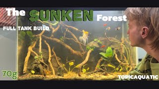 THE SUNKEN FOREST🌿full tank build 70g|TOPICAQUATIC