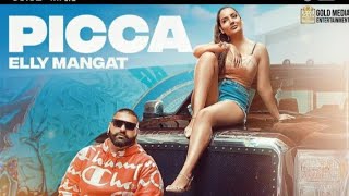 PICCA SONG ELLY ( FULL VIDEO ) SONG 2020