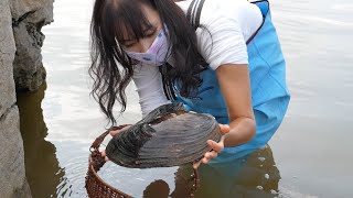 😱A rural girl's hard work is rewarded with the discovery of a mussel that conceals a beautiful pearl