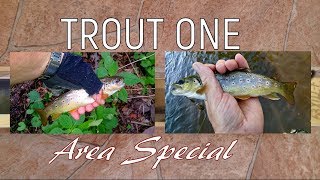 Trout One Area Special