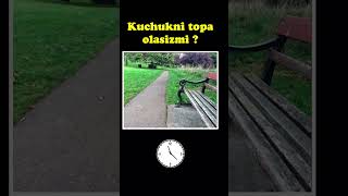 Rasmda yashiringan kuchukni topa olasizmi?