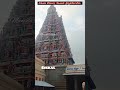 முருகன் சிக்கல்களை தீர்க்கும் சிக்கல் சிங்கார வேலன் 🙏 சஷ்டி shorts murugatemple