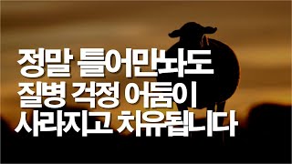 진실로 듣기만해도 치유됩니다. 지치고 힘들고 아프고 재정과 어둠은 그 즉시 사라집니다. 강력한 믿음의기도 #서효원목사치유기도 #치유기도 #질병치유 #믿음의기도 #잠자며듣는기도