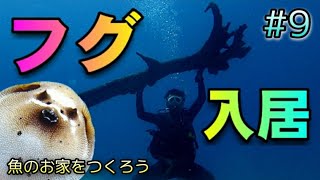 【サイパンの海０９】(魚のお家をつくろう)入居者第５号決定で～～す。