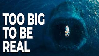 We Were Wrong About The Megalodon
