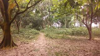 Panchagarh Harbal Forest | Ep3 | হারবাল বাগানের ভিতোরের দিকটা | ItzRayhan |