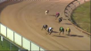 Mandurah-18102018-Race-1