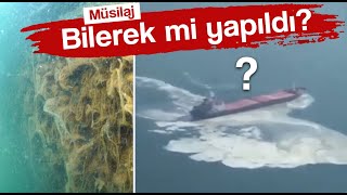 Müsilaj (Deniz salyası) GERÇEKLERİ!