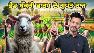 ਲੱਖਾਂ ਕਮਾਉਣ ਦੀ ਕਹਾਣੀ | successful goat sheep farming | goat farm | sheep farm