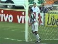 Fluminense 1x4 Botafogo - 2004 - Campeonato Brasileiro 2004 34ª Rodada