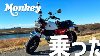 【モンキー125】初めて乗ってみた感想。コイツは楽しいバイクだ！