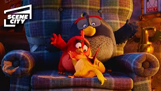 The Trio Ask for Mighty Eagle's Help | The Angry Birds Movie (Jason Sudeikis, Bill Hader, Josh Gad)